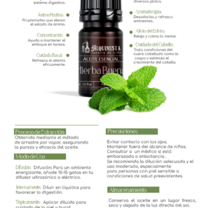 Aceite Esencial Puro de Hierbabuena Alquimista - Mente Clara, Alivio Muscular y Digestivo (5ml)